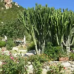 In Zona Panoramica, Immersa Nel Della Macchia Mediterranea 公寓