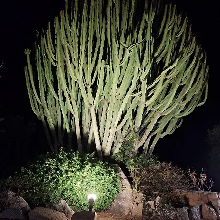 Villetta In Zona Panoramica, Immersa Nel Verde Della Macchia Mediterranea Apartment