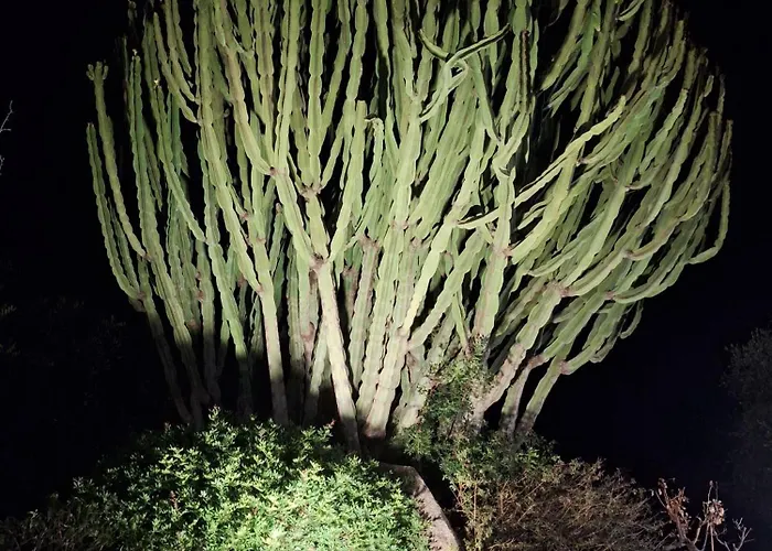 In Zona Panoramica, Immersa Nel Della Macchia Mediterranea Appartamento