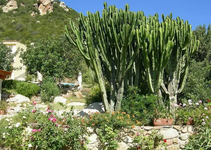 In Zona Panoramica, Immersa Nel Della Macchia Mediterranea Appartamento